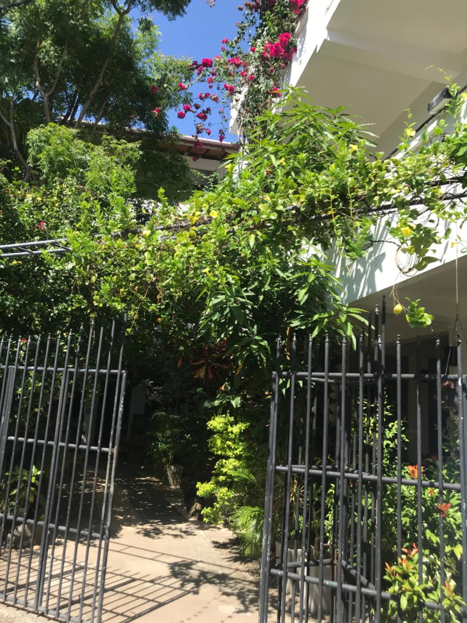 Unawatuna Beach Bungalow - Zewnętrze zdjęcie